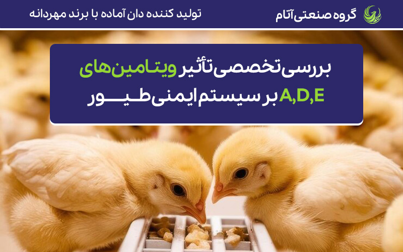 تأثیر ویتامینهای A، D و E بر سیستم ایمنی طیور